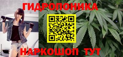 мяу мяу мука Абакан