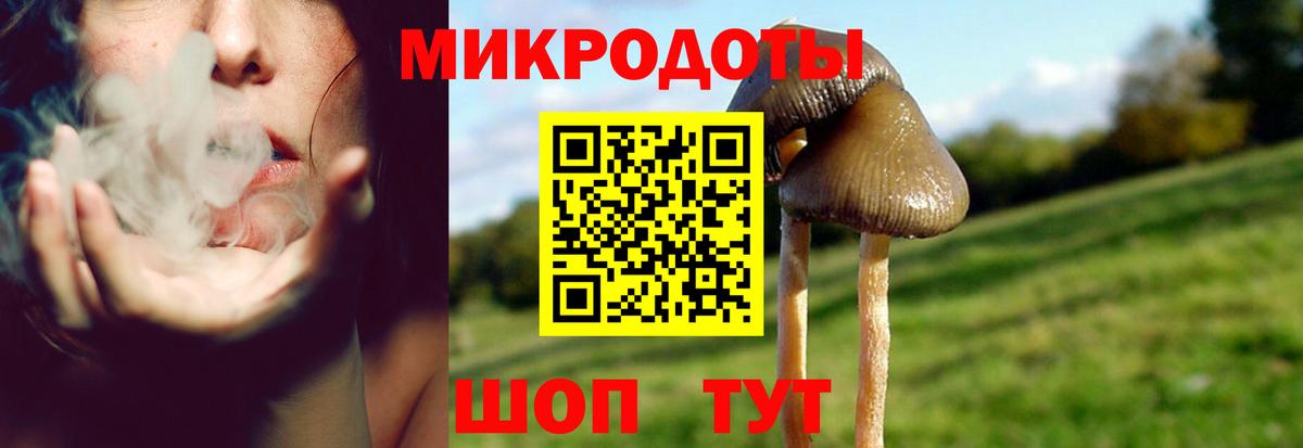 Псилоцибиновые грибы ЛСД  Вход с VPN  Алейск 